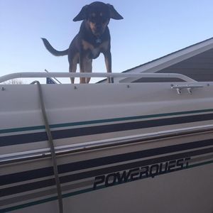 Meet your Posher, Sharon